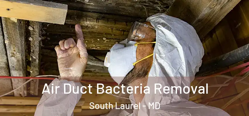 Air Duct Bacteria Removal South Laurel - MD