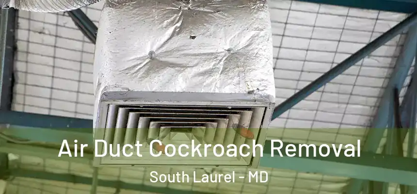  Air Duct Cockroach Removal South Laurel - MD
