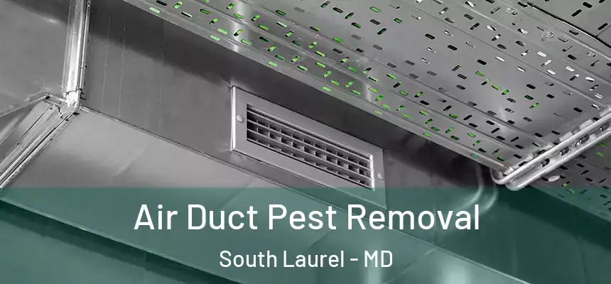 Air Duct Pest Removal South Laurel - MD