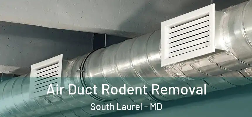 Air Duct Rodent Removal South Laurel - MD