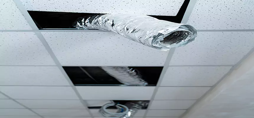 Affordable HVAC Sanitizing After Pest Removal in South Laurel