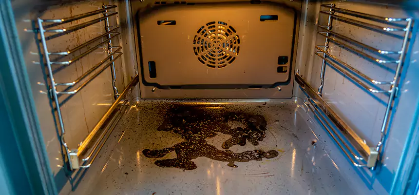 Our Dryer Vent Mold Cleaning Services in South Laurel, MD