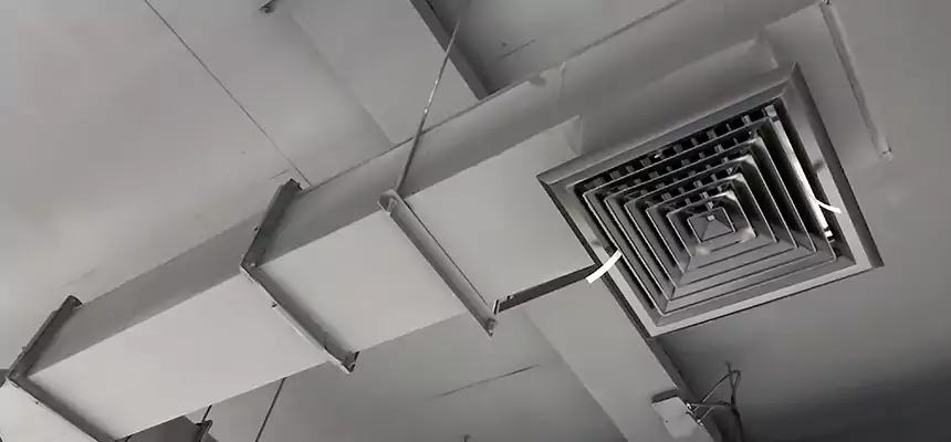 Our Rodent Droppings In Vents Services in South Laurel, MD