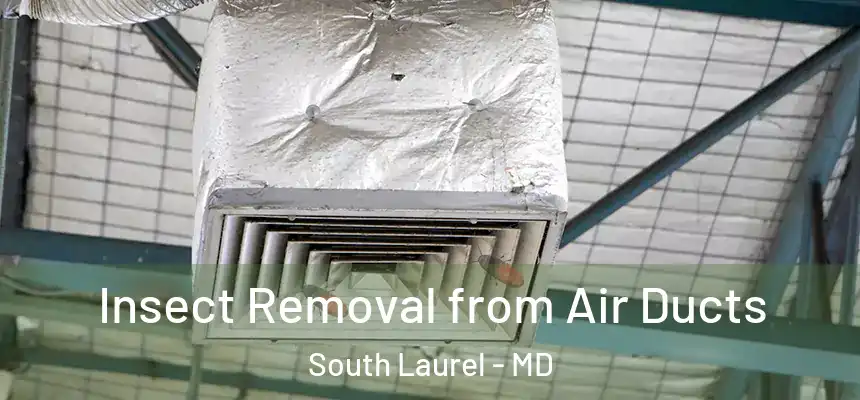  Insect Removal from Air Ducts South Laurel - MD
