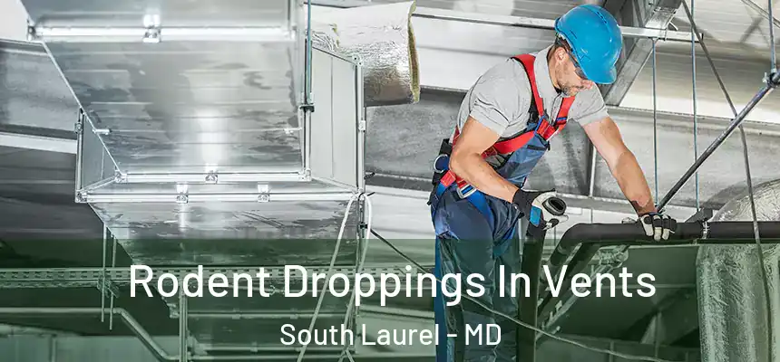  Rodent Droppings In Vents South Laurel - MD