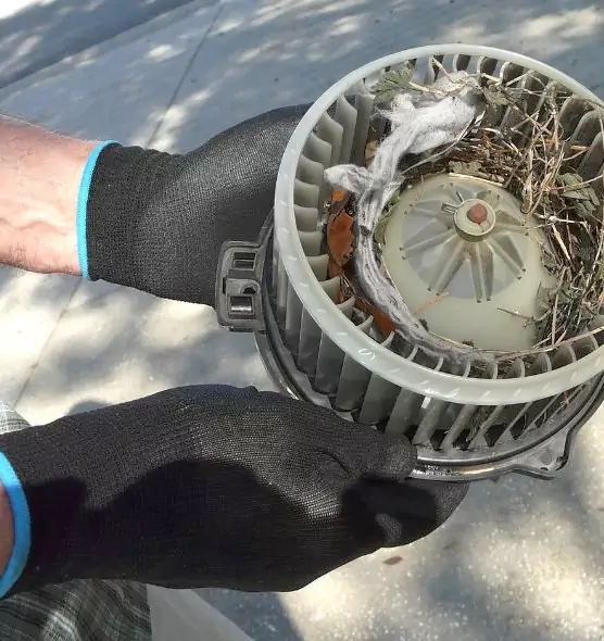 About Air Duct Rat Removal in South Laurel, MD