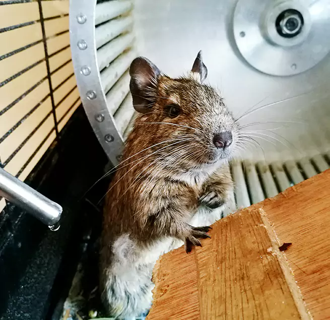 Why Homeowners & Businesses Trust Us South Laurel, MD