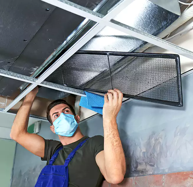 Why Homeowners Businesses Trust Us in South Laurel, MD